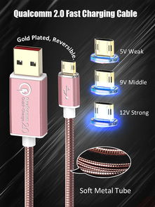 引領(lǐng)科技潮流，專業(yè)計(jì)算機(jī)軟硬件技術(shù)開(kāi)發(fā)解決方案